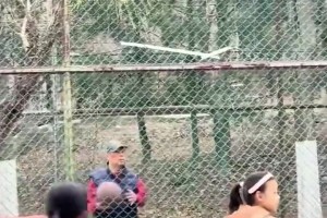 高手在民间！大爷隔着围栏投篮连进三个！